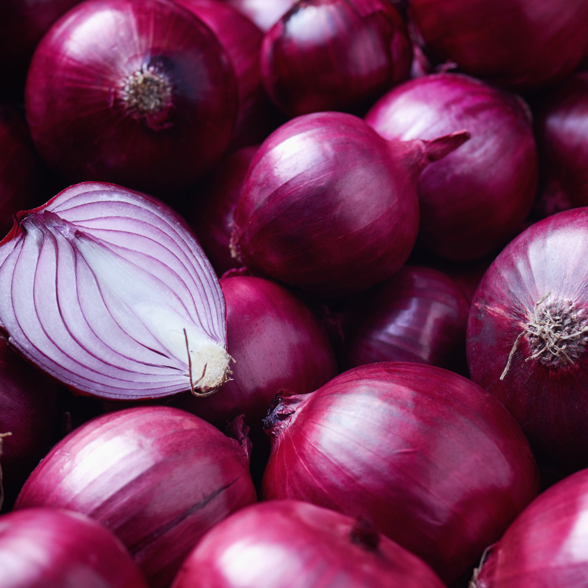 1 Purple Onions - Image 1