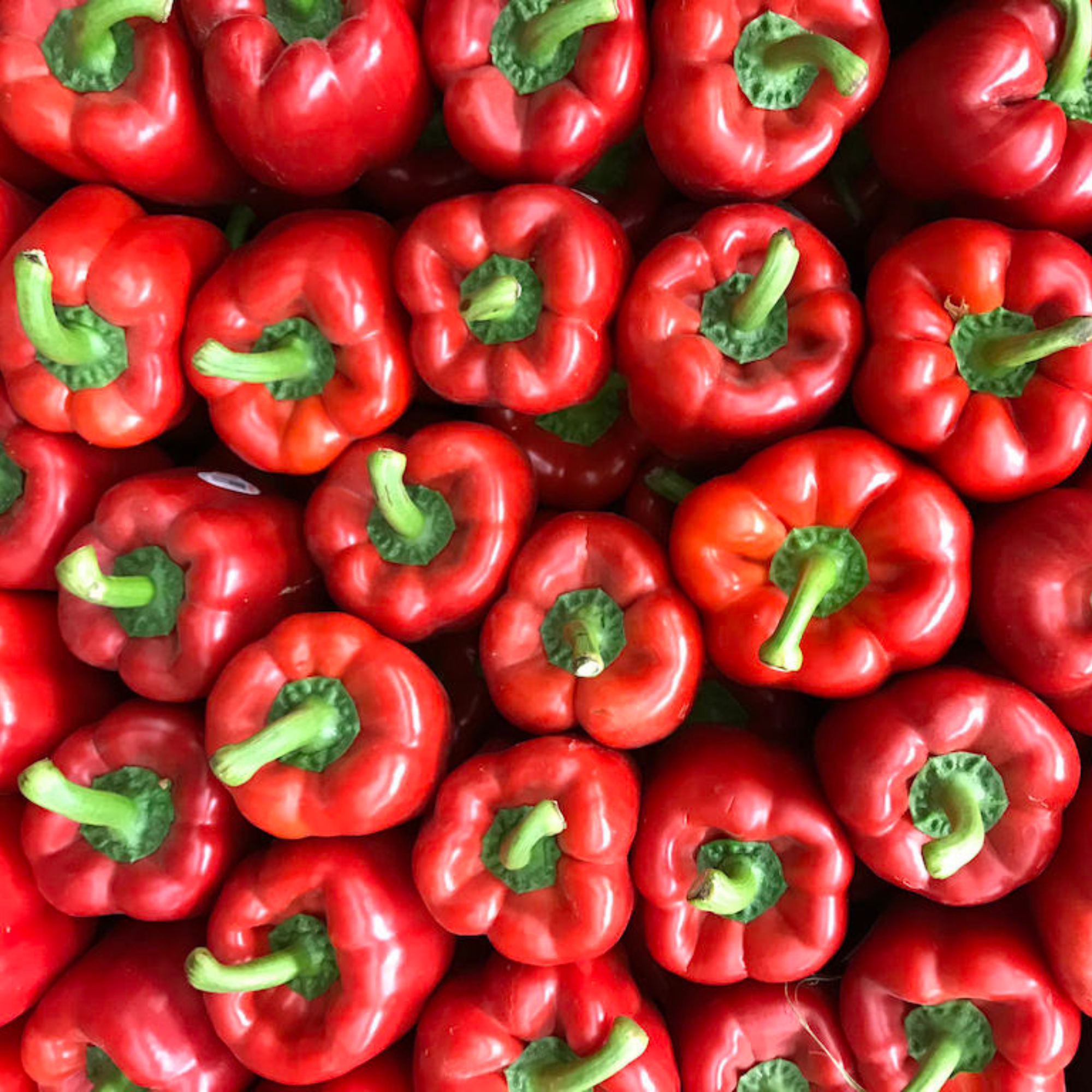 8 Red Bell Peppers - Image 1