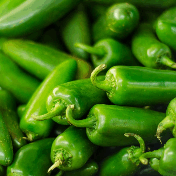 Jalapeños Peppers