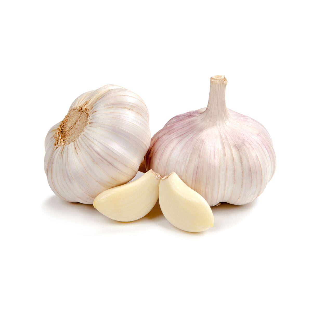 Garlic - Image 1