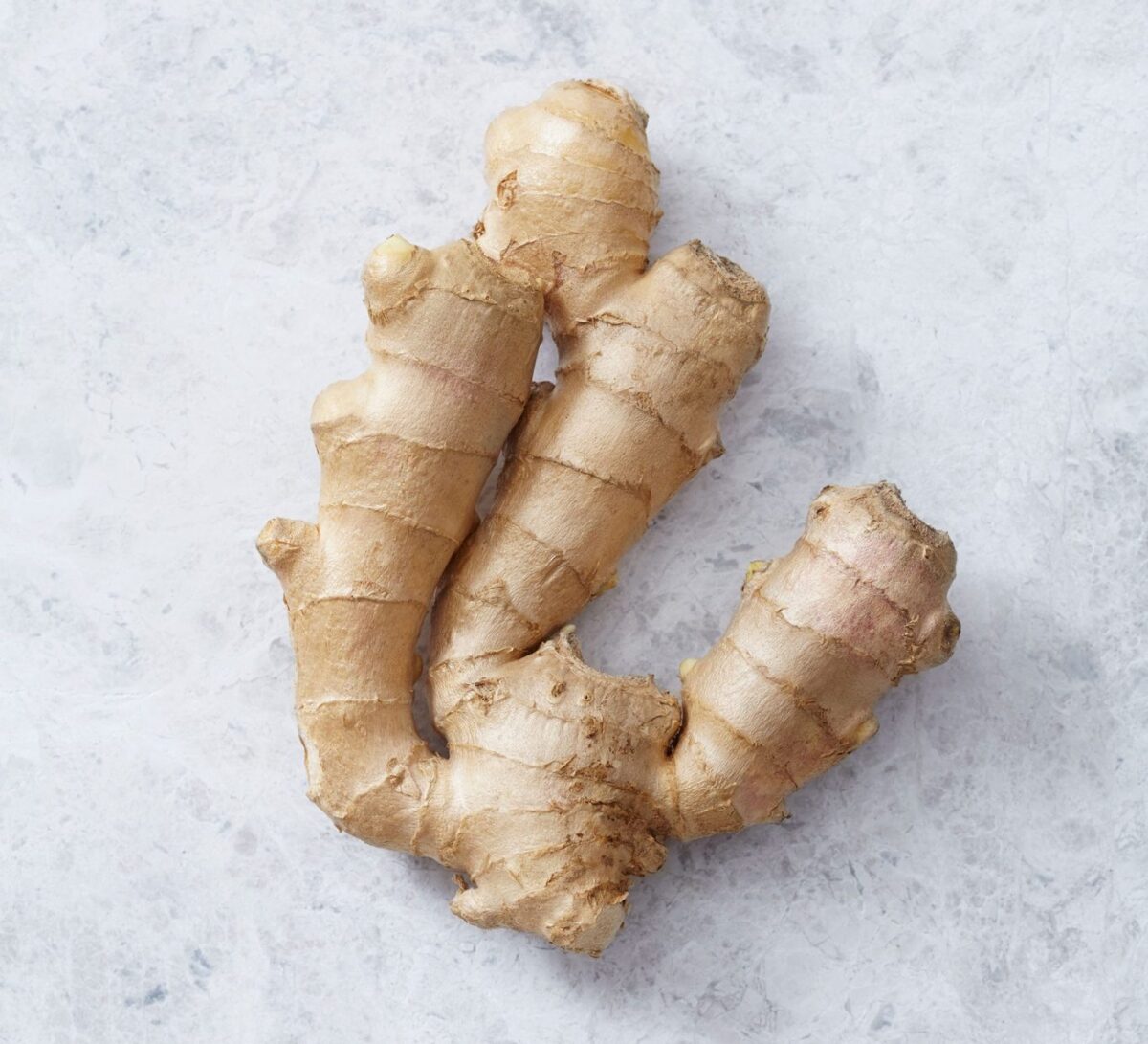 Ginger - Image 1