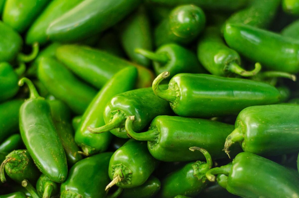 Jalapeños Peppers - Image 1