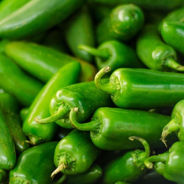 Jalapeños Peppers