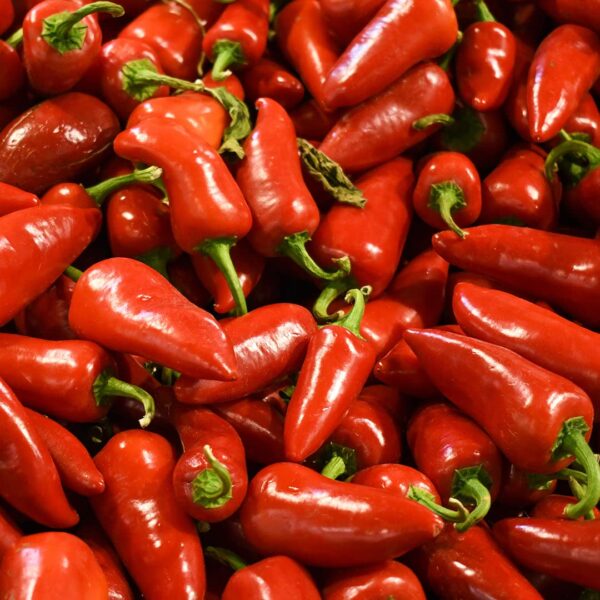 Red Jalapeños Peppers