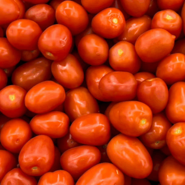 Roma Tomatoes