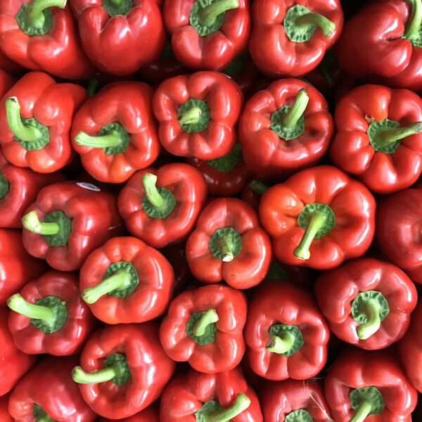 Red Bell Peppers